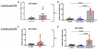 Variable Response of Norepinephrine Transporter to Traumatic Stress and Relationship to Hyperarousal